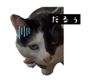 882072802