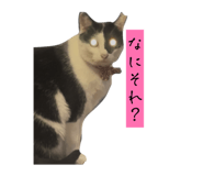 882072804