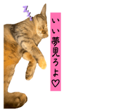 882072807