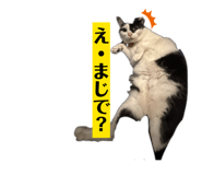 882072808