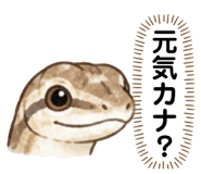 882073145