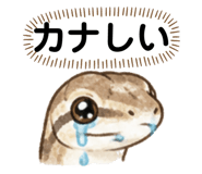 882073146