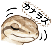 882073162