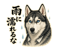 882081281