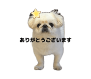 882082499