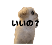 882082509