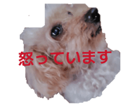 882087369