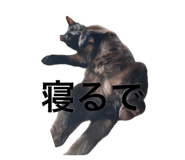 882087404