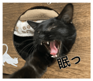 882087408