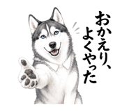 882088302