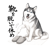 882088303