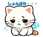 882089244