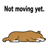 882099011