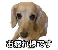 882103886