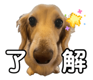 882103887