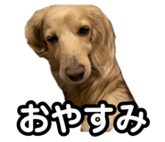 882103888