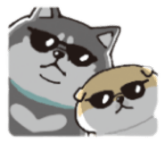 882126213