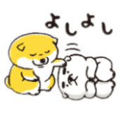 882126216
