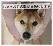 882126507