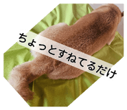 882126510
