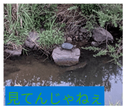 882126562