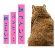 882128066
