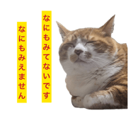 882128067