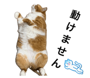 882128069