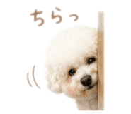 882128992