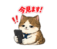 882130708