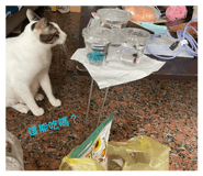 882131809