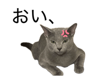 882135548
