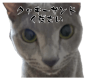 882135550