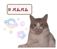 882135553