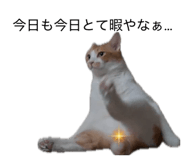 882135557