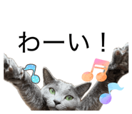 882135558