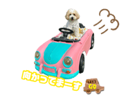 882136361
