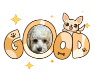 882136382