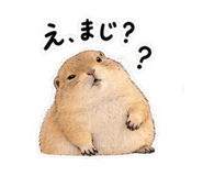 882152713