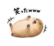 882152714