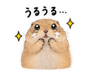 882152724