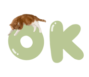 882154689