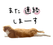 882154694