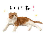 882154703