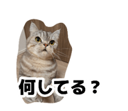 882155623