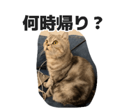 882155626