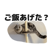 882155629