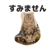 882155635