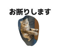 882155638
