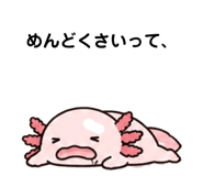 882155734